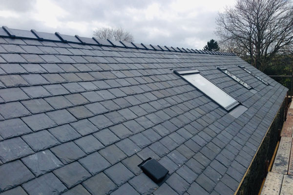 Tiled roof with skylights